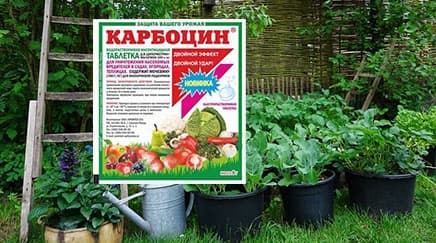 article